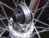 Freehub Oiler