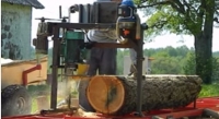 Chainsaw Mill