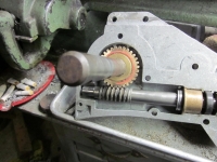 Worm Gear