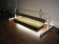 Grow Light Stand