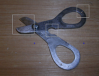 Fishing Scissors