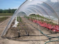 Hoop House