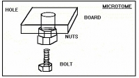 Microtome