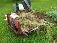 Garden Cart