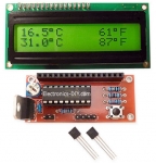 Dual Temperature Meter