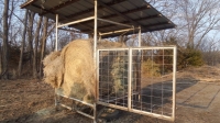 Round Bale Hay Feeder