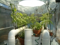 Hydroponic Unit