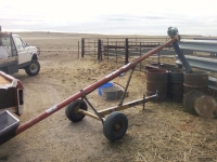 Portable Corn Auger