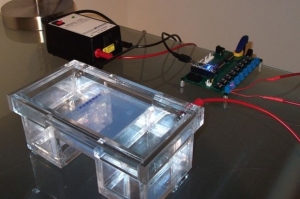 Mini Electrophoresis System