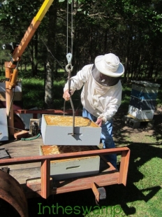 Beehive Lift and Trailer 