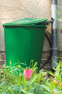 Rainwater Barrel