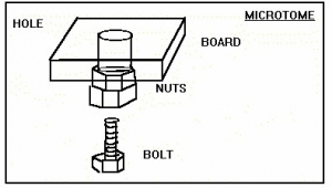 Microtome