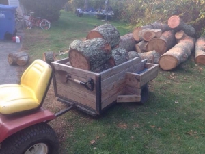 Garden Dump Cart