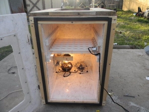 Incubator