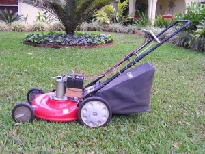 Electric Lawnmower