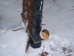 Deer Feeder