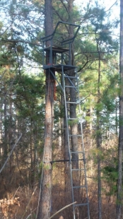 Ladder Stand