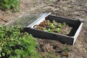 Cold Frames