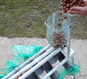 Hazelnut Sorting Machine 