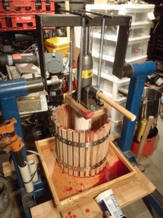 Hydraulic Fruit Press