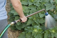 Watering Wand