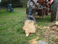 Log Tongs