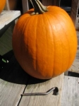 Pumpkin Carver